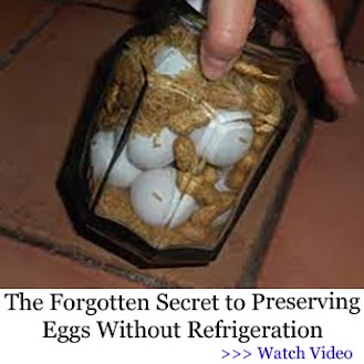 A glass jar filled with eggs stored in a preservation method using dry materials, demonstrating an old-fashioned technique to keep eggs fresh without refrigeration.